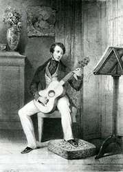 Il chitarrista